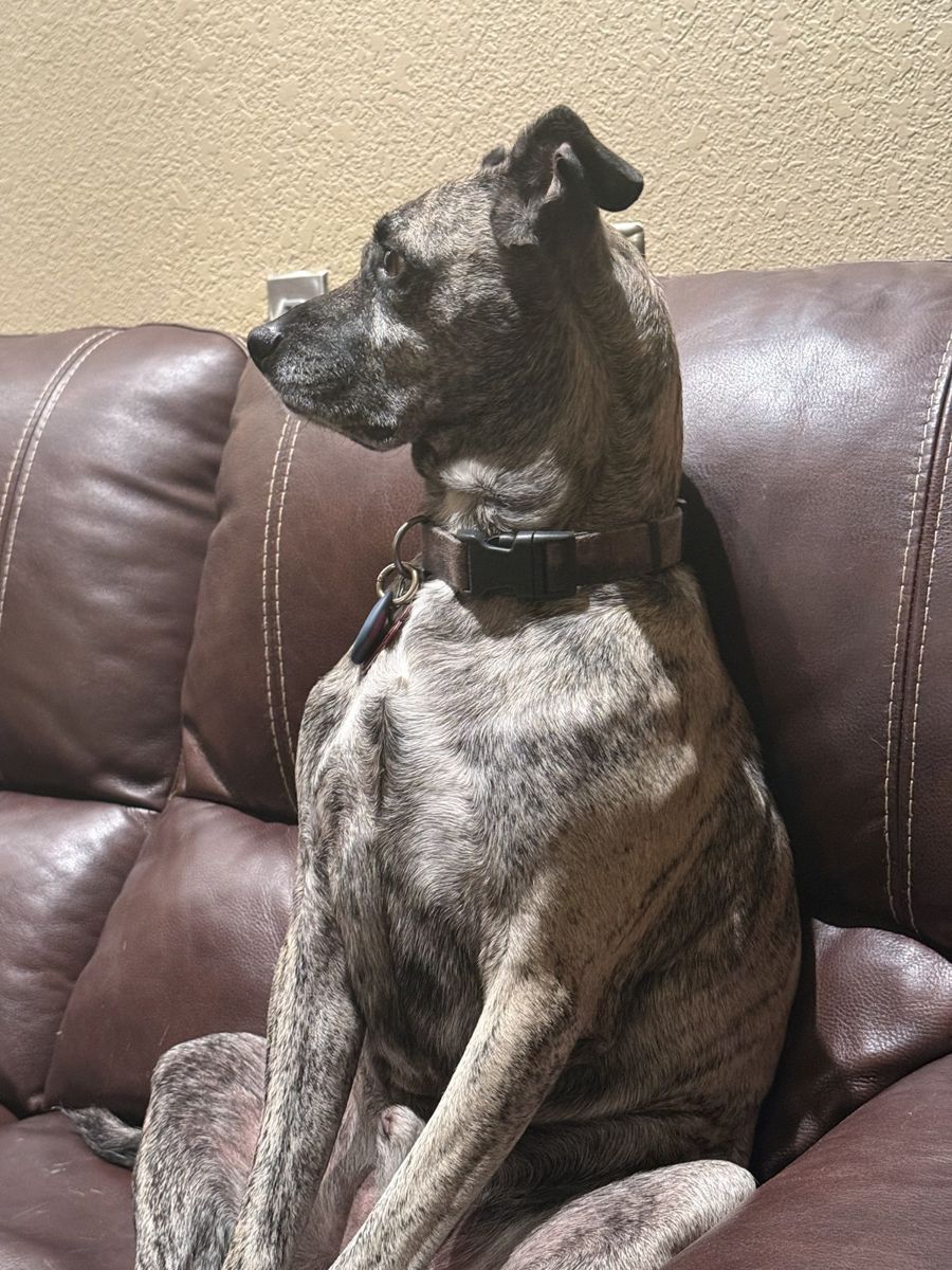 Caspian