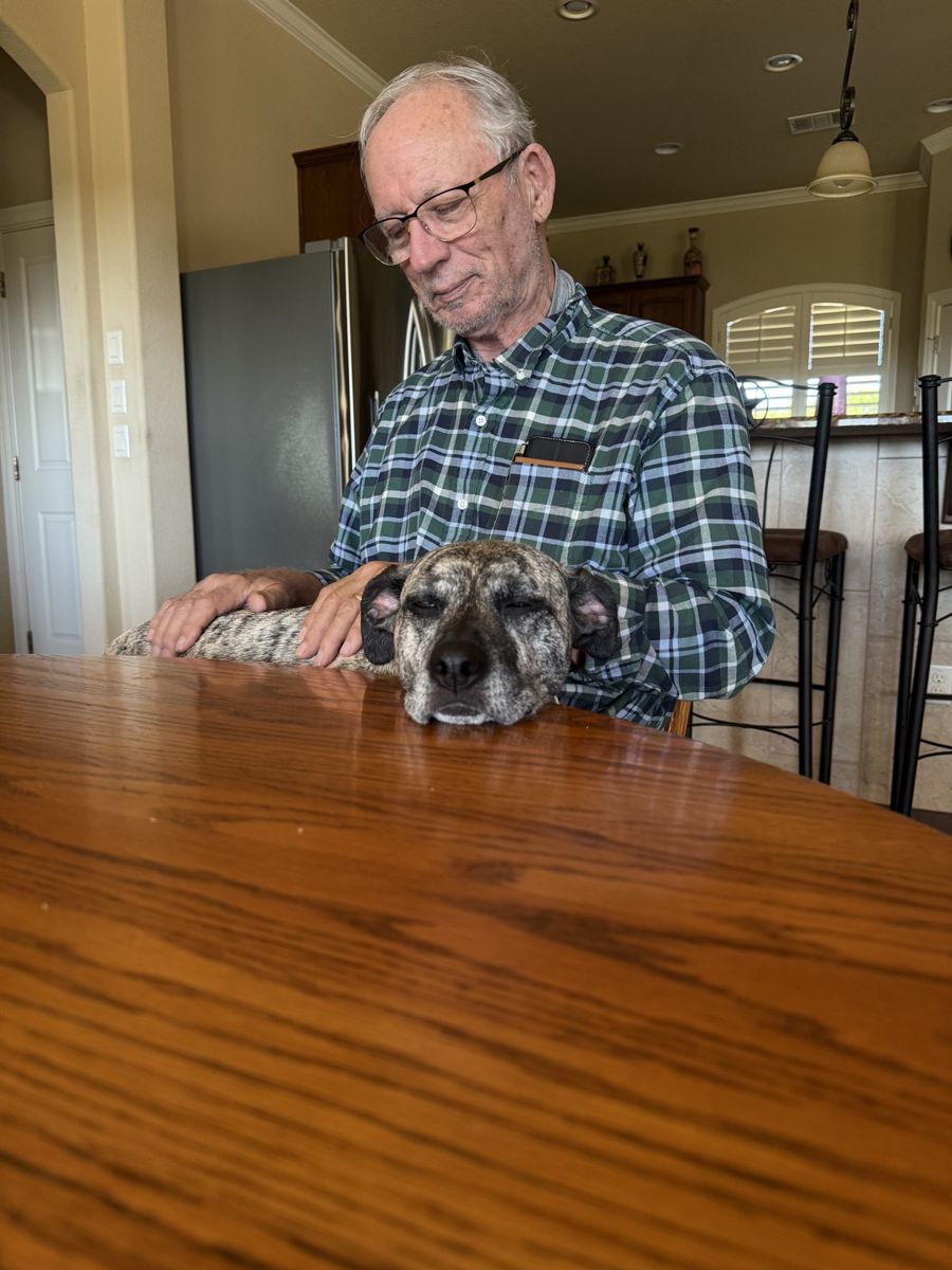 Waiting politely at the table